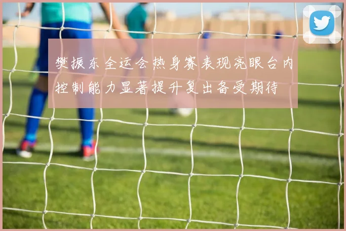 樊振东全运会热身赛表现亮眼台内控制能力显著提升复出备受期待